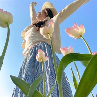歌舞青春2